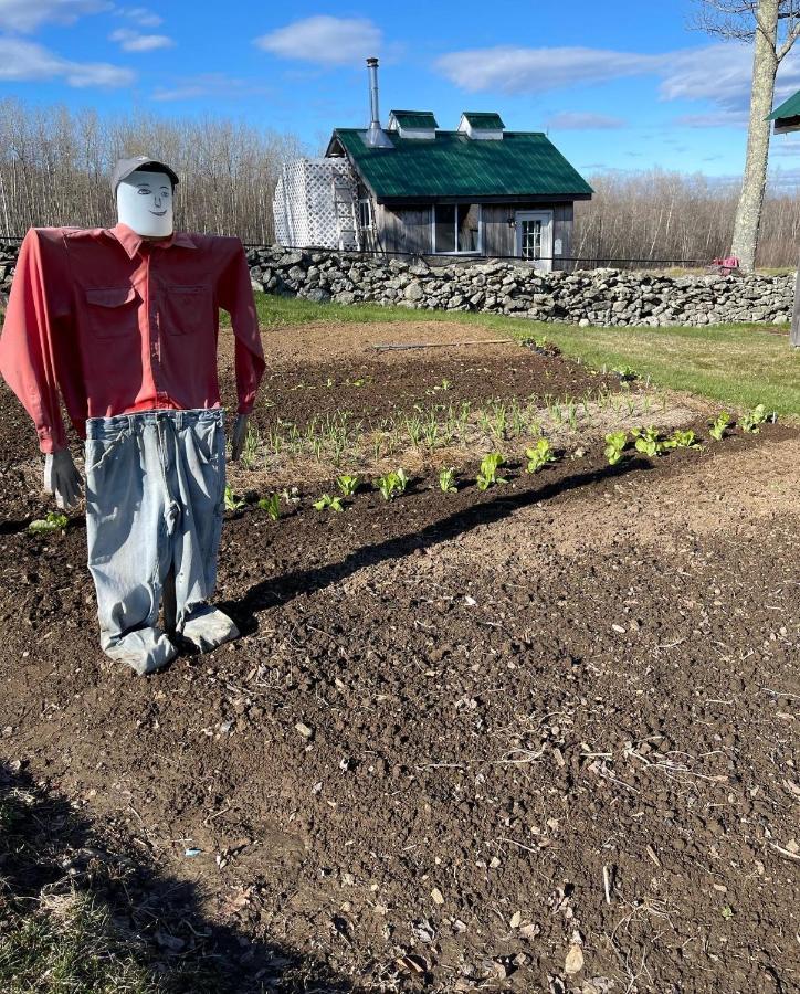 Blueberry Fields Bed & Breakfast Jefferson Luaran gambar